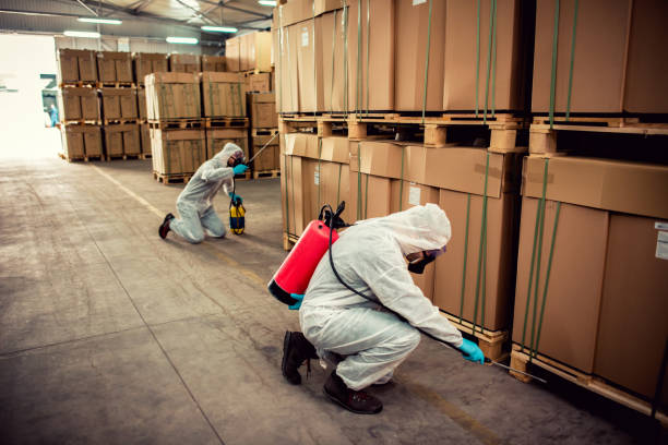 Best Pest Inspection Near Me  in White Oak, TX