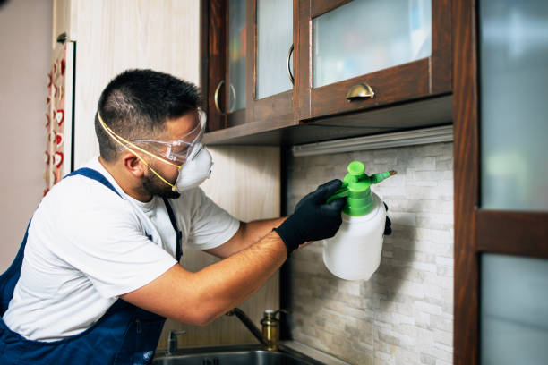 Best Flea Control Services  in White Oak, TX