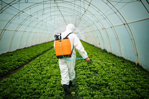 Best Mosquito Control Services  in White Oak, TX