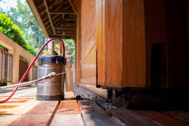 Best Best Pest Control Companies  in White Oak, TX