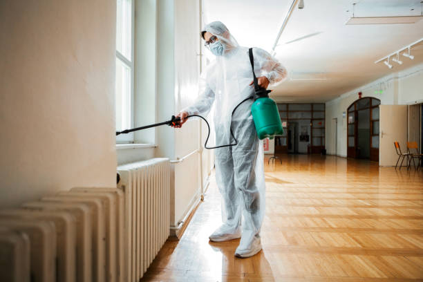 Best Emergency Pest Control  in White Oak, TX