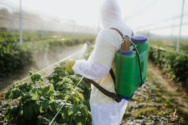Best Wildlife Control Services  in White Oak, TX